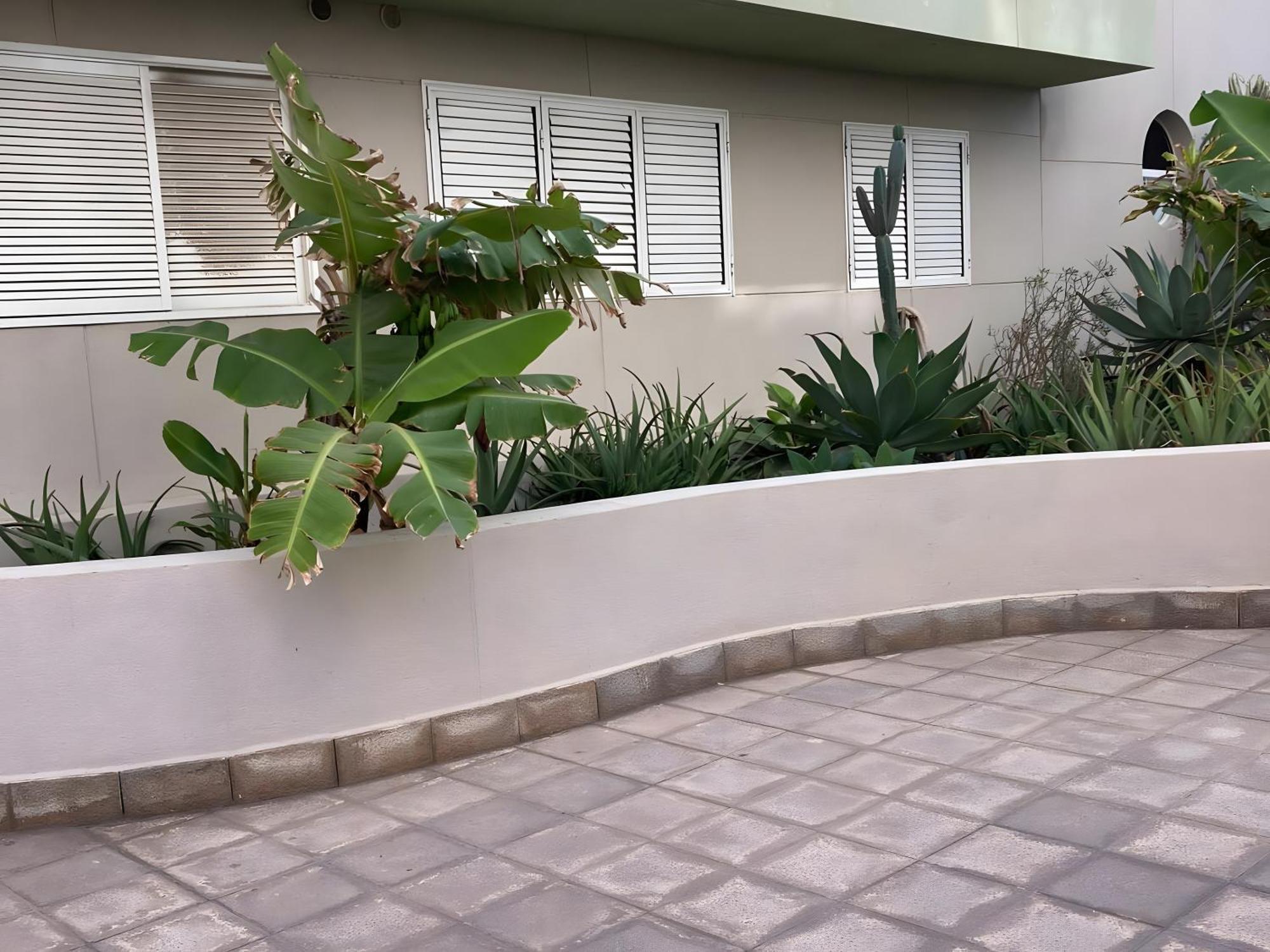 El Medano By Agueita Salada Suites Ngoại thất bức ảnh
